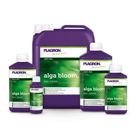 alga-bloom